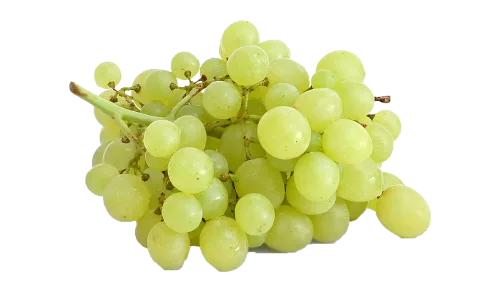 Table Grapes